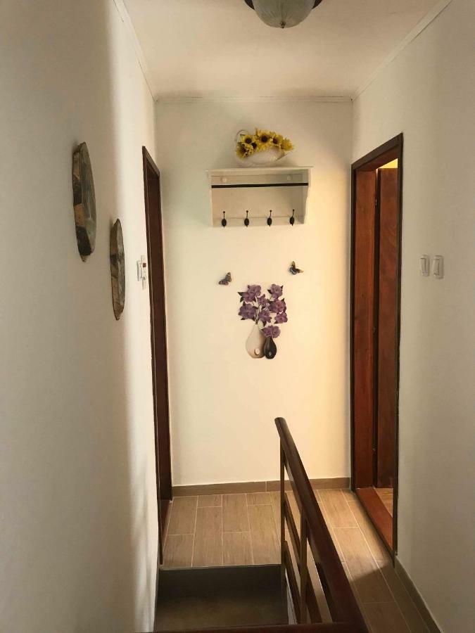 Apartma Evi Zaga Exteriör bild